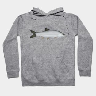 Common Dace Hoodie
